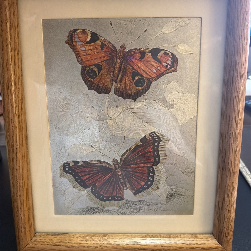 Vintage Dufex Foil Print Matted and Framed Butterfly Butterflies England!